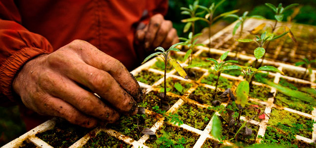 Sustentabilidade: a gente vê por aqui!