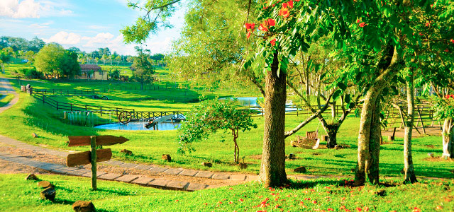 O verde reina nessa cidade! Venha conhecer um autêntico hotel fazenda em Brotas