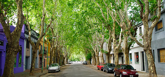 Palermo Veijo, um dos bairros de Buenos Aires mais arborizados