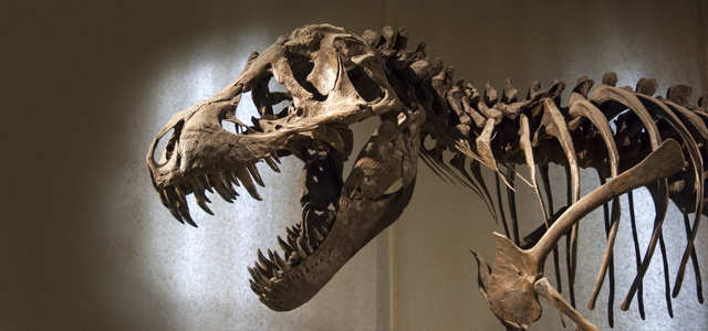 American Museum of Natural History deve estar no seu roteiro de viagem através do pacote Nova York