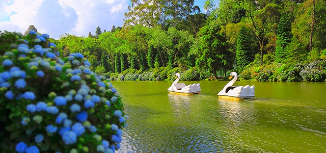 Roteiro para dias românticos em Gramado