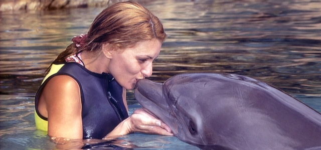 Pacotes de viagens internacionais - Curaçao Dolphins Academy