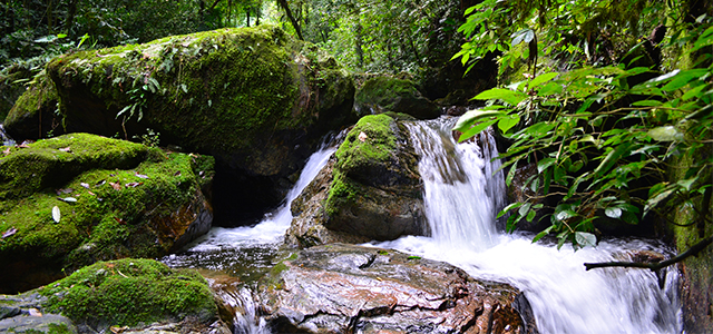 Cachoeira Água Limpa