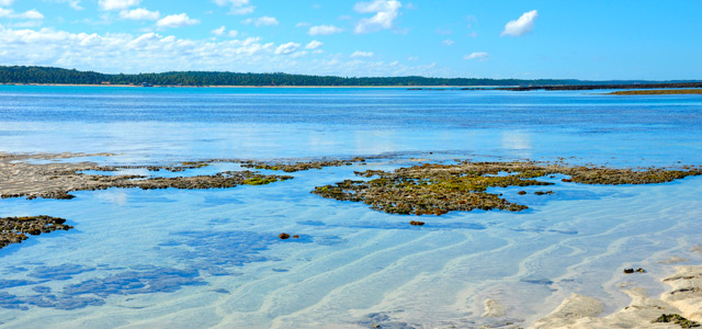 Piscinas naturais de Maragogi