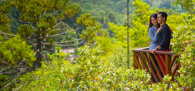 As quatro estações em Monte Verde.