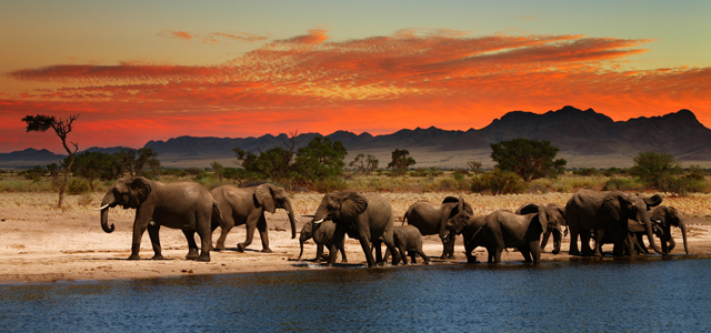 Kruger National Park