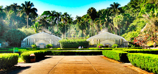 Jardim Botânico - Passeios em São Paulo