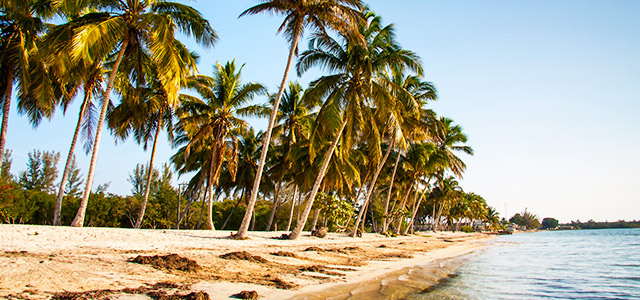 Cuba: Playa Larga.