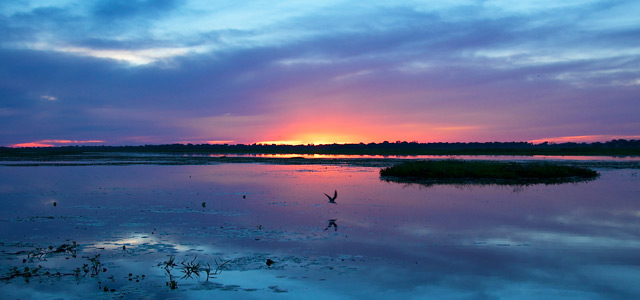 Pantanal para viajar sozinho