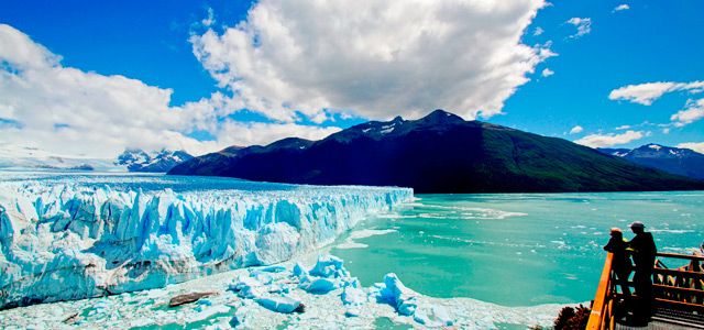 calafate