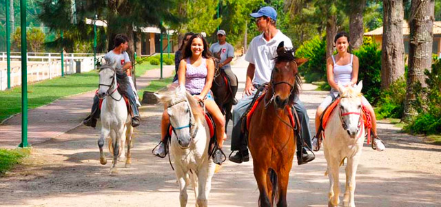 fazenda-suica-Le-Canton-passeio-a-cavalo-interna-zarpo-magazine