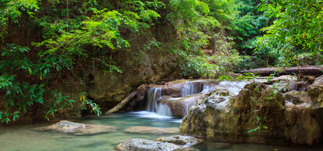 Cachoeira - Passeios em Ilhabela