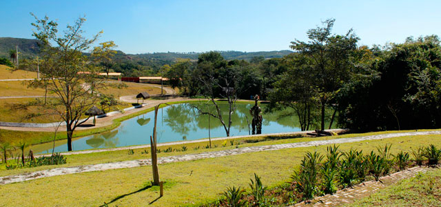 Natureza é o que não falta no Parque do Avestruz