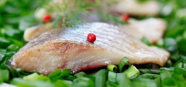 Gastronomia de primeira nos Restaurantes em Floripa