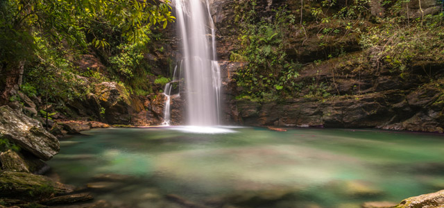 Véu de noiva, na Serra dos Orgãos, Teresópolis