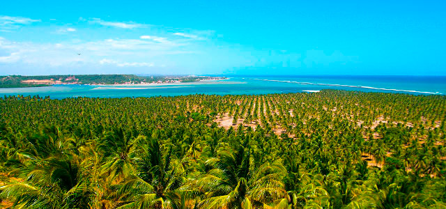 Praia de São Miguel - Iloa Resort