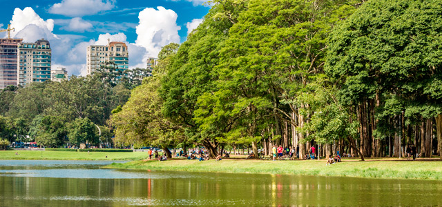 Ibirapuera - Primavera