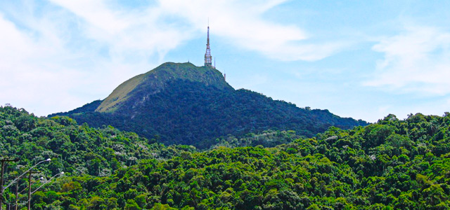 Pico do Jaraguá - Primavera 2015