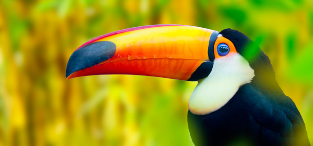 Passeios em Bonito: natureza e aventura!
