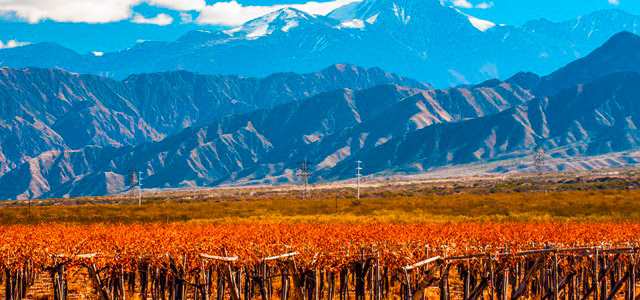 Mendoza - Argentina