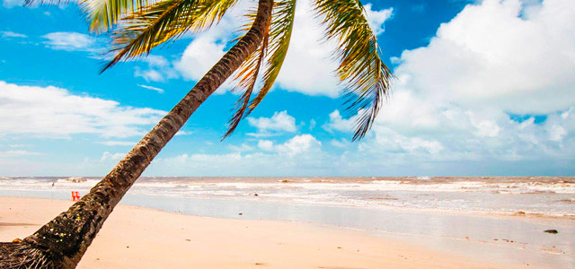Sem chororô no Resort Tororomba!