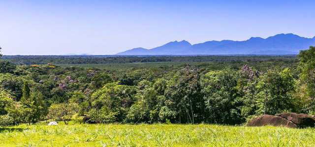 Parque Estadual do Lagamar de Cananéia