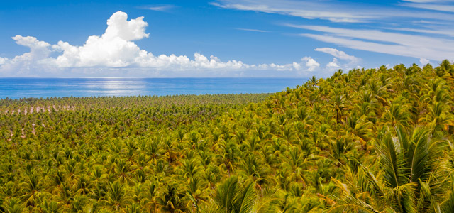Sinônimo de sossego e diversão, conheça o paradisíaco Pratagy Beach Resort
