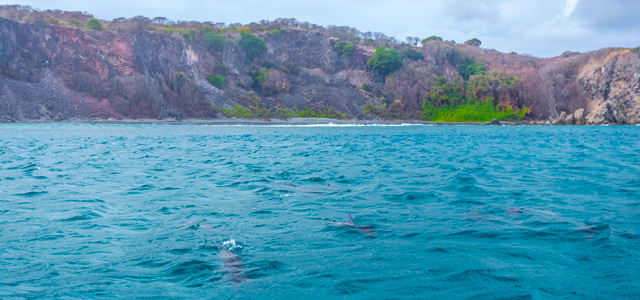 baia-dos-golfinhos-tibau-zarpo-magazine