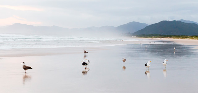 Praia da Joaquina