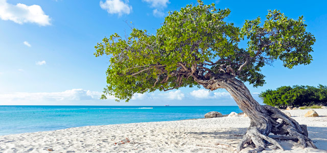 Aruba