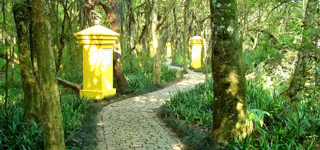 bosque do portugal wikimedia