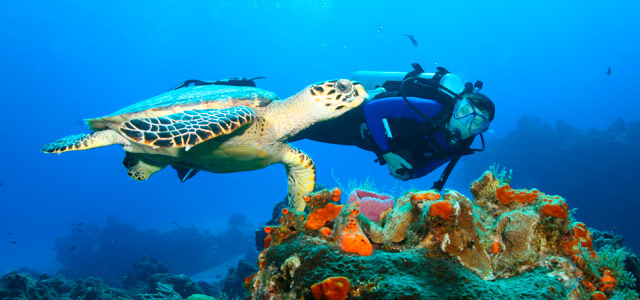Caribe Mexicano - Cozumel