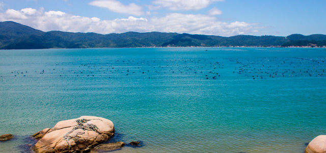 Praias em Santa Catarina - Zimbro