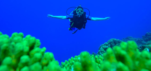 Curaçao - Mergulho