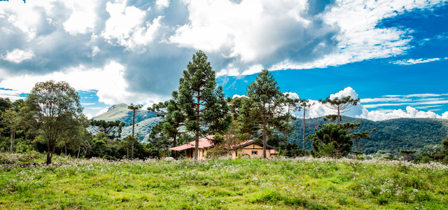 Monte Verde