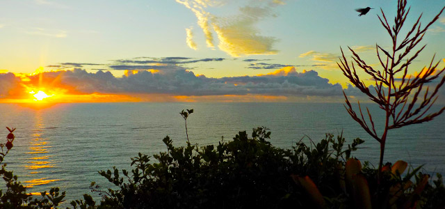 Motivos para se hospedar no Club Med Trancoso