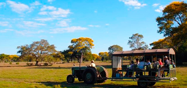 Pousada Piuval: A melhor forma de conhecer o Pantanal