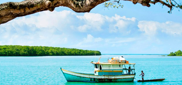Campo Bahia