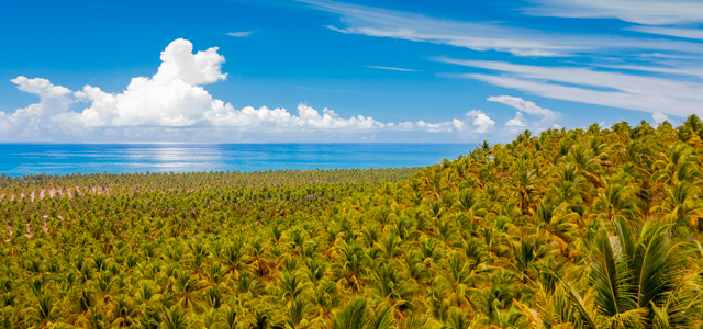 maceio-zarpo-magazine