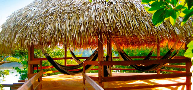 O pulsar da Selva Amazônica no Juma Amazon Logde