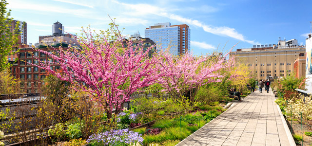 high-line-zarpo-magazine