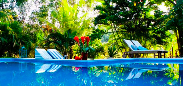 mata-nativa-piscina-zarpo-magazine