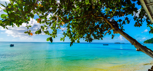 san-andres-zarpo-magazine