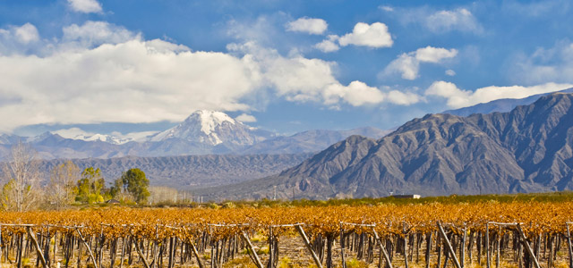 vinicula-mendoza-zarpo-magazine