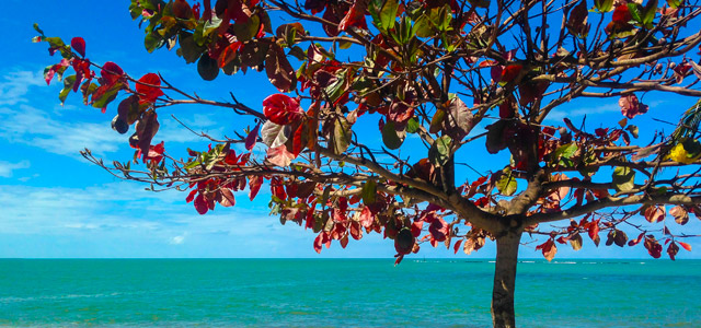 porto-seguro-bahia-zarpo-magazine