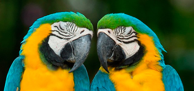 aguas-de-bonito-natureza-zarpo-magazine
