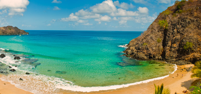 cachorro-Fernando-de-Noronha-zarpo-magazine
