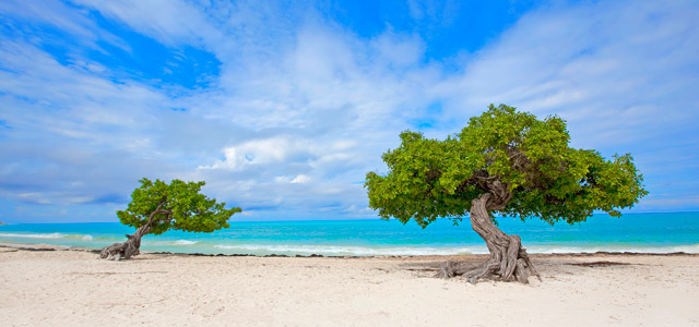 praia-eagle-Aruba-zarpo-magazine