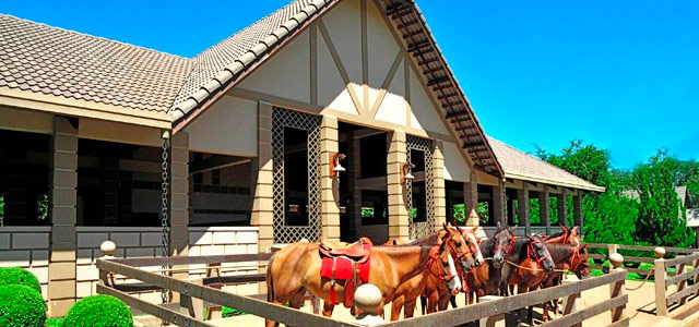 cavalos-Termas-de-Jurema-zarpo-magazine
