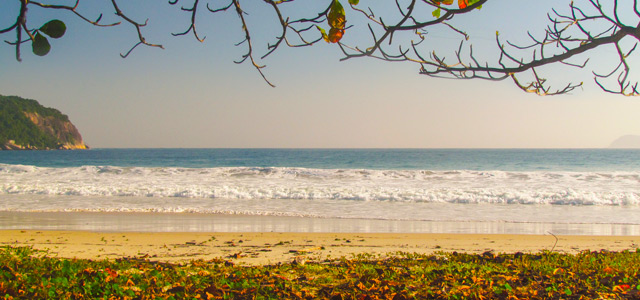 lopes-mendes-zarpo-magazine